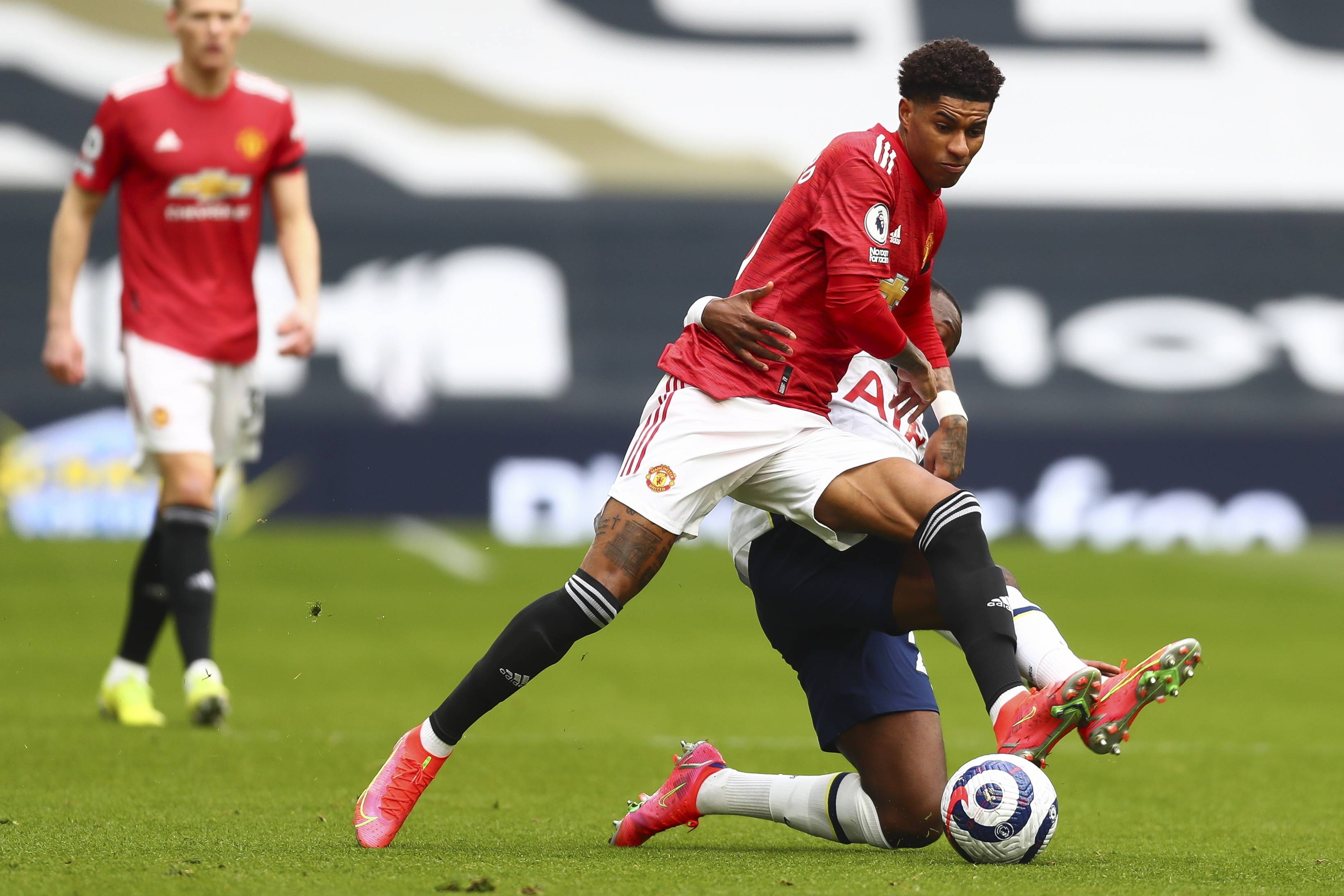 承担其全部 承担其全部