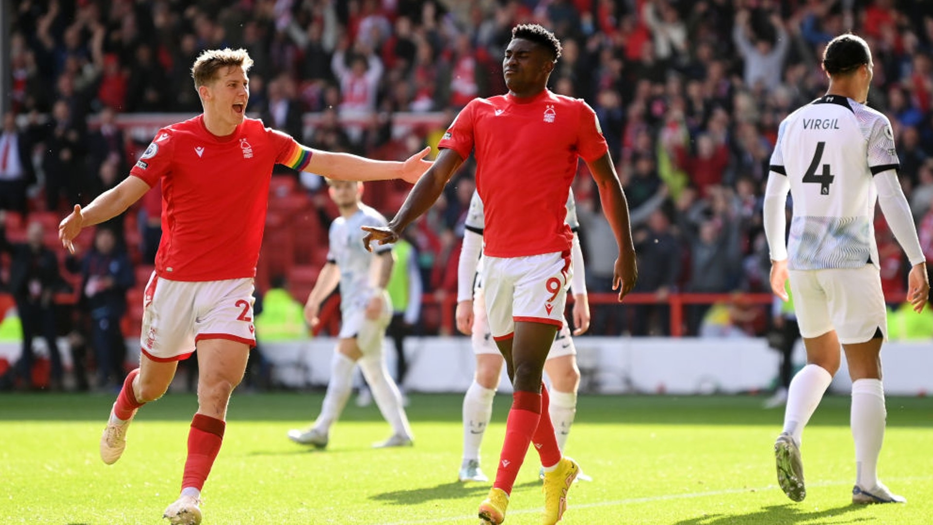 楚地看到 楚地看到